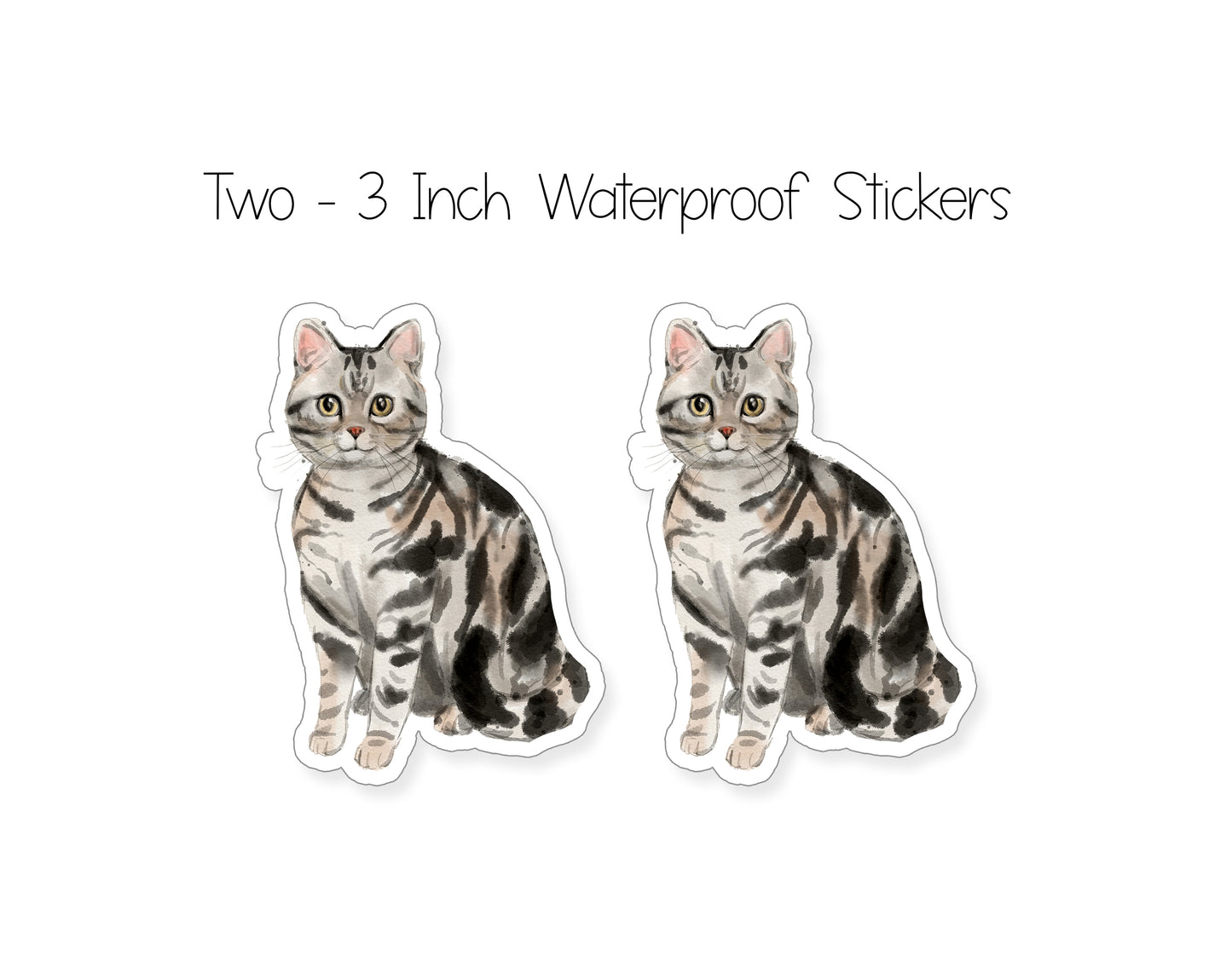 American Shorthair Cat Folded Note Cards