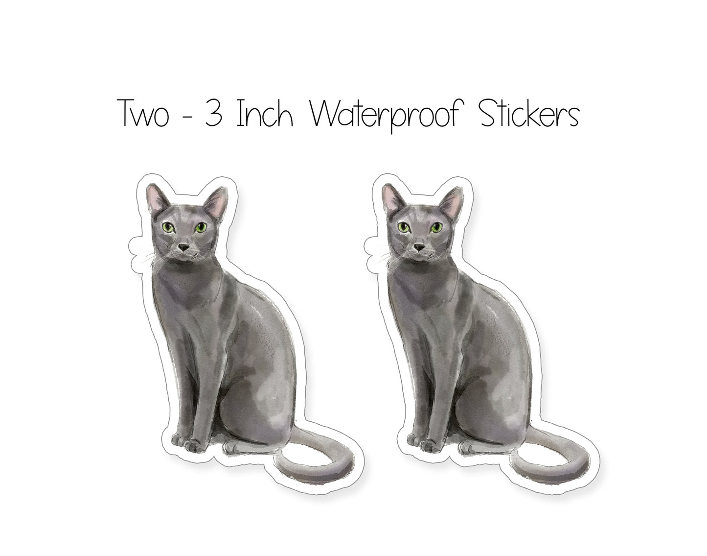 Grey Cat Folded Note Cards