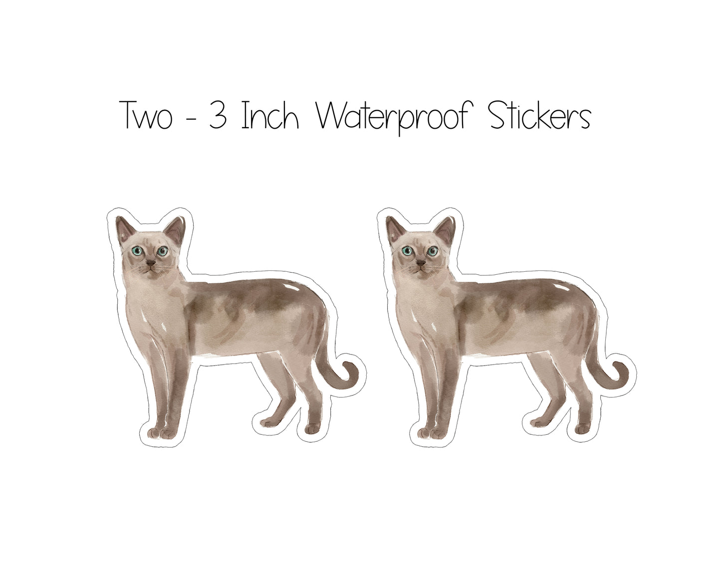 Watercolor Cat Folded Note Cards