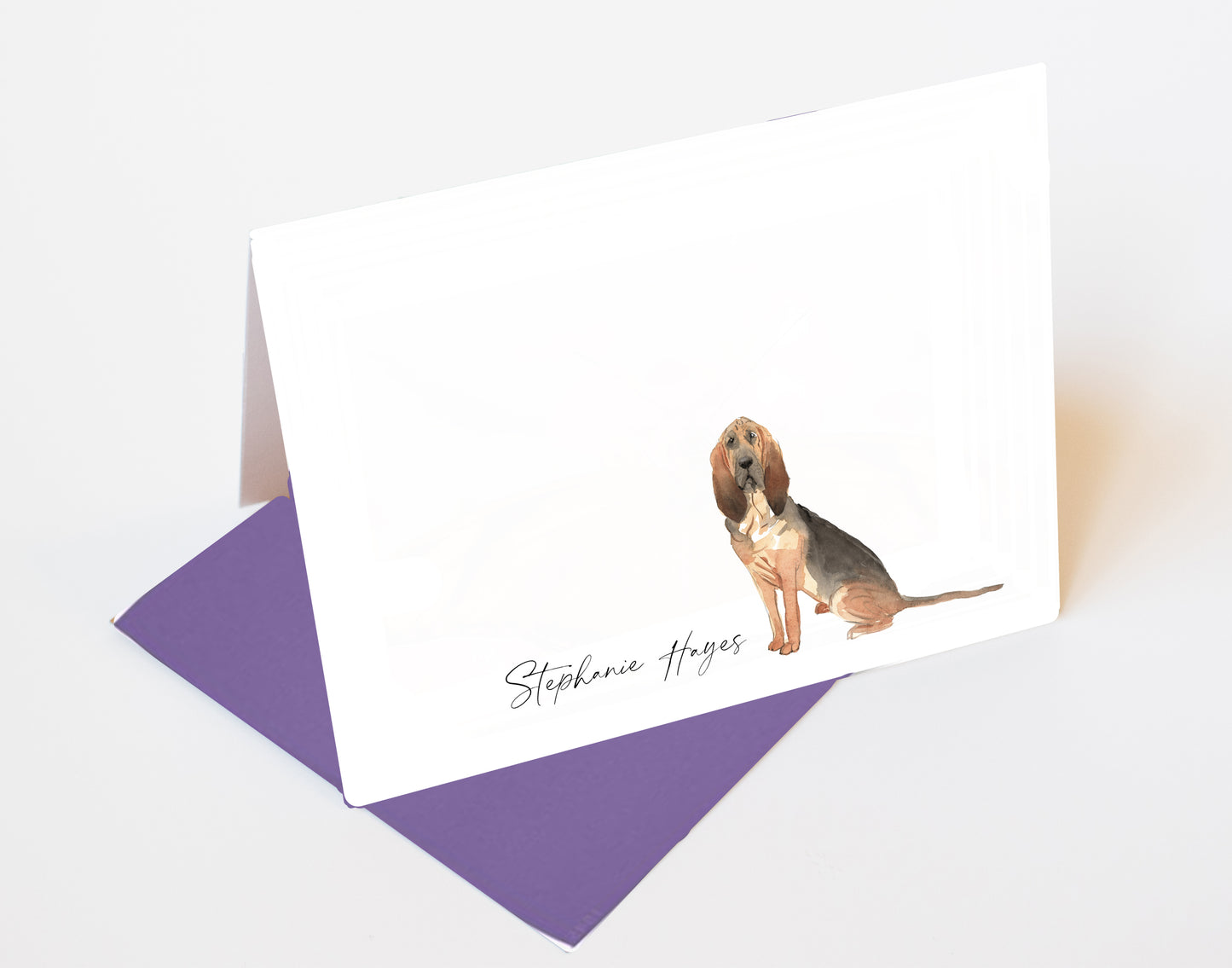 Bloodhound Folded Note Cards