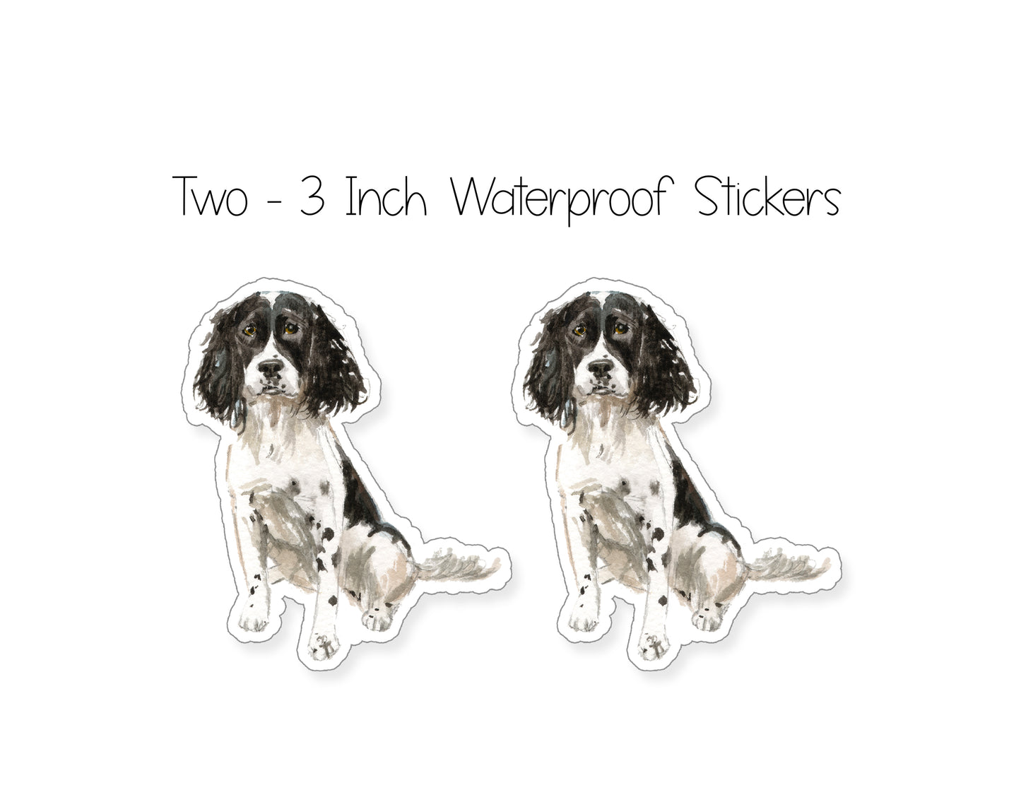 Black and White English Springer Spaniel Dog Folded Note Cards