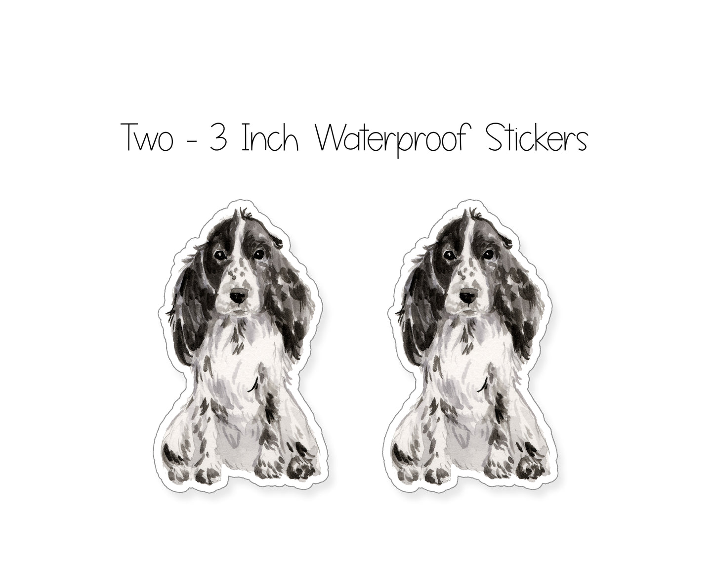 Black and White Cocker Spaniel Folded Note Cards