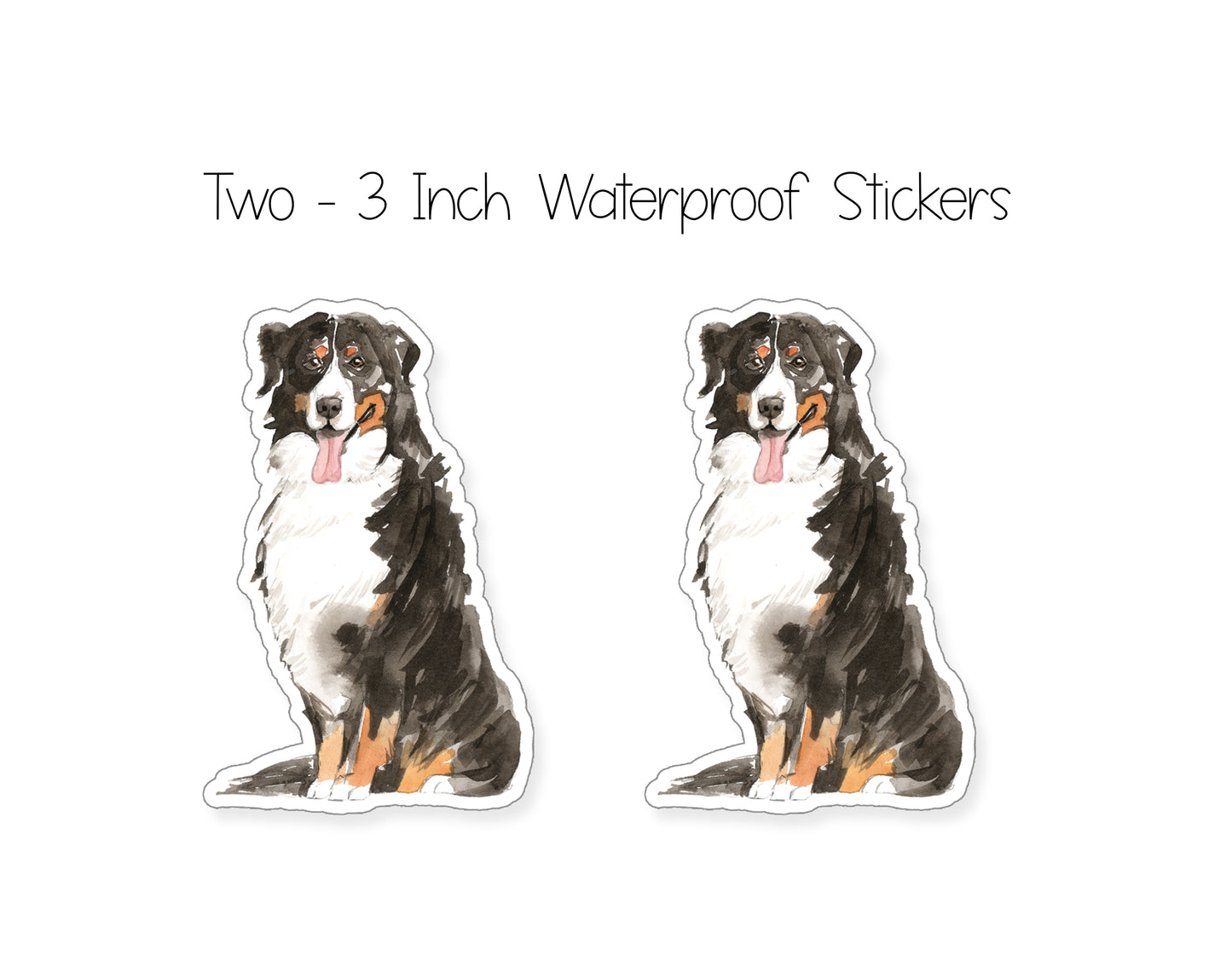 Bernese Mountain Dog Folded Note Cards