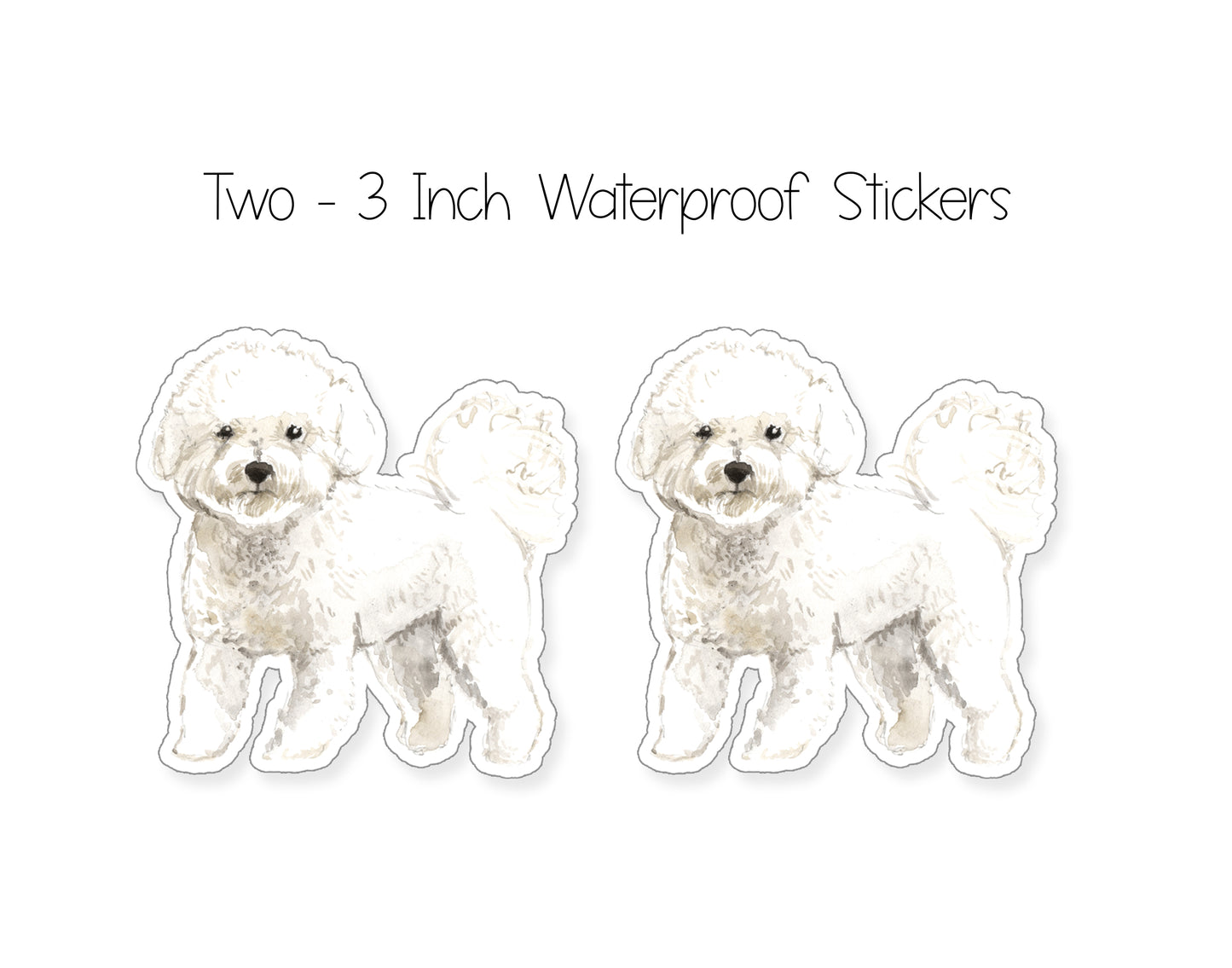 Bichon Frise Folded Note Cards