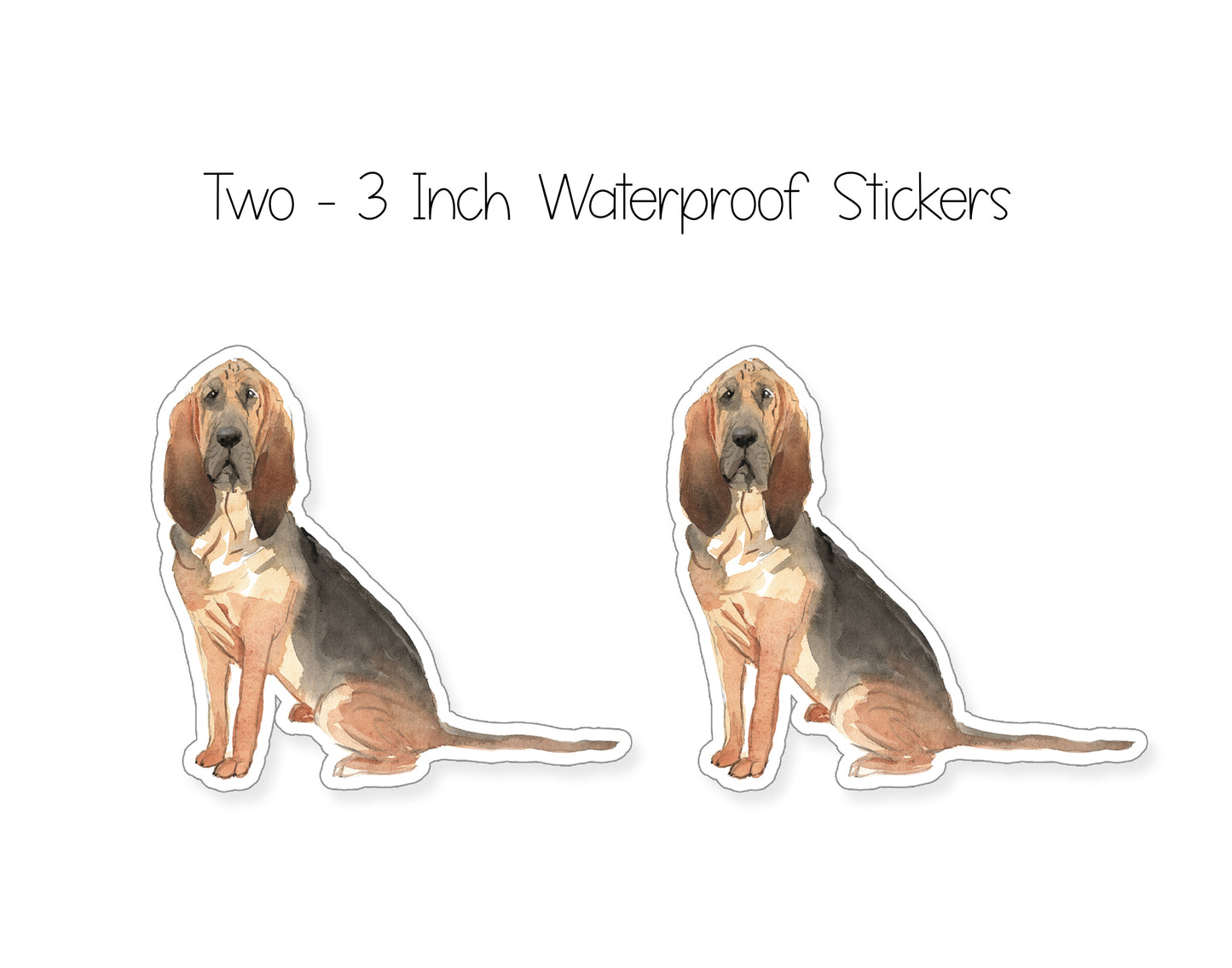 Bloodhound Folded Note Cards