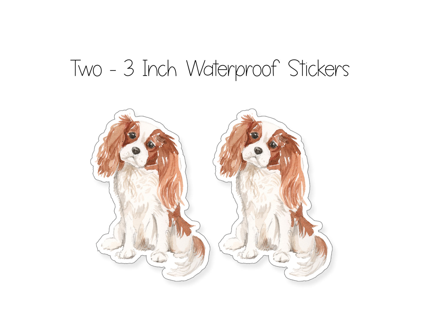 Blenheim Cavalier King Charles Spaniel Folded Note Cards