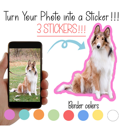 Custom Pet Sticker from a Photograph