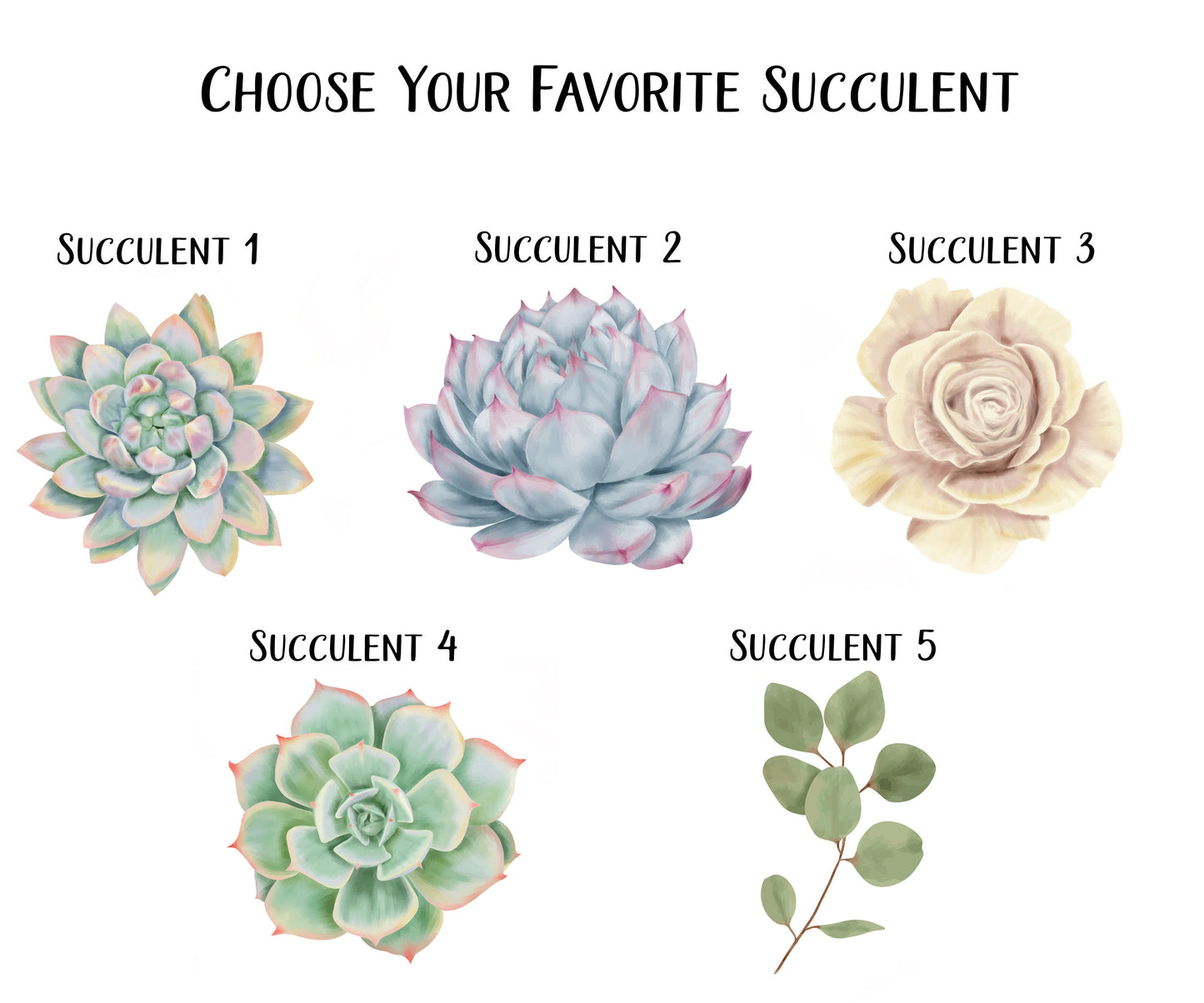 Succulent Notepad and Stickers