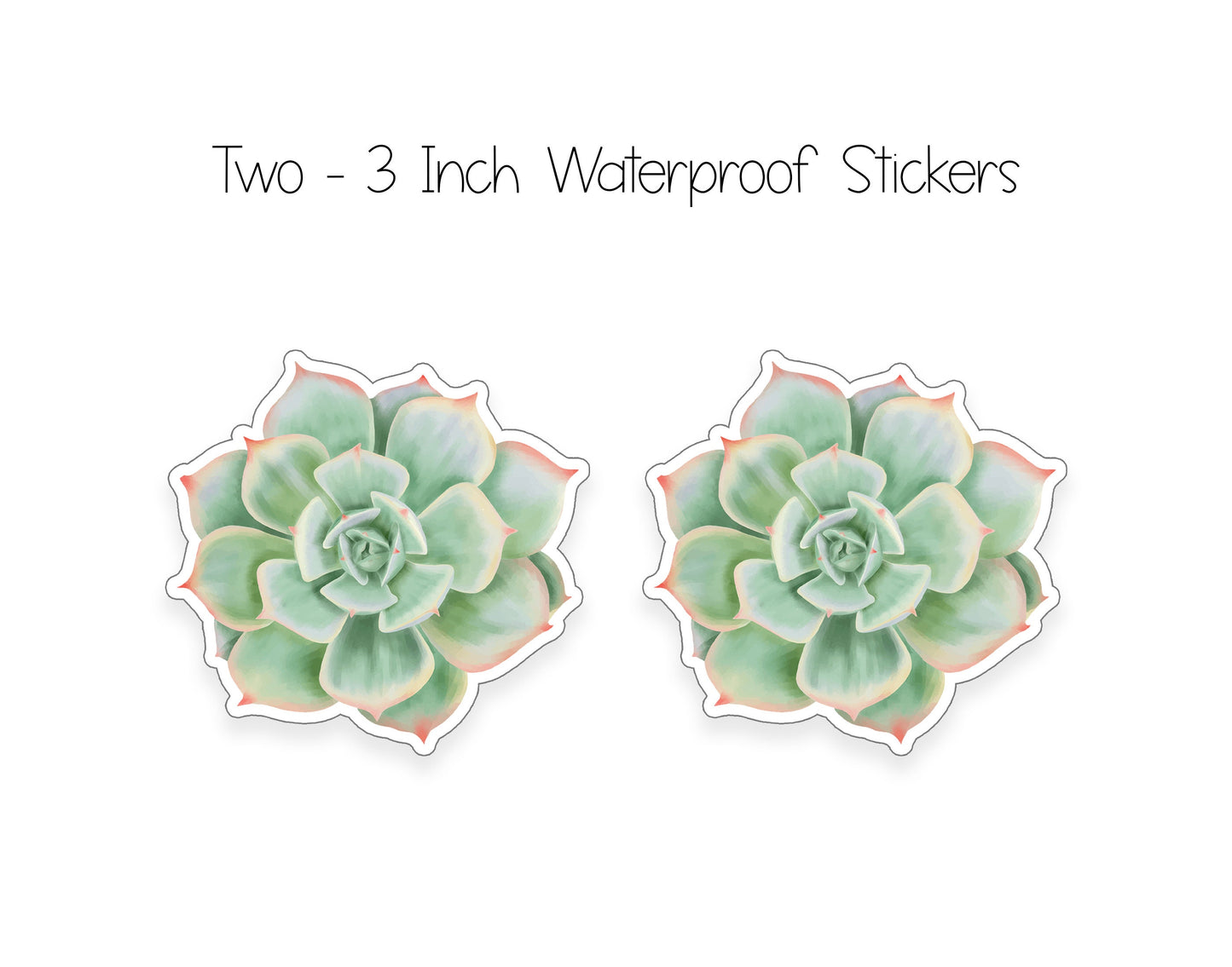 Succulent Notepad and Stickers